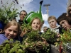 Wild flower planting. (Photo - Edinburgh Evening News)